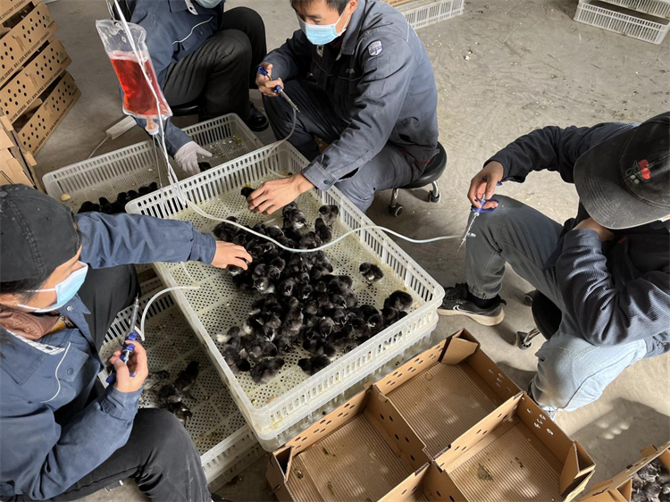 不負春光加油干   “孵化”發展新動能